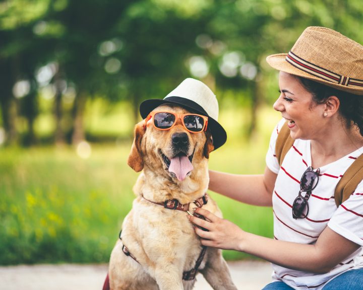 How to Travel a Long Distance With Your Dog?